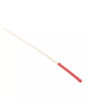 Sturdy Discipline Cane