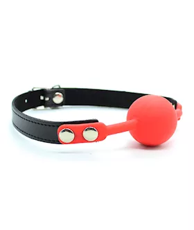 The Classic Ball Gag