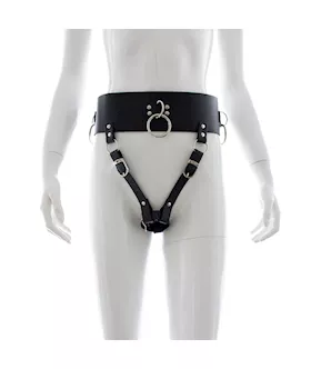 Bodywand Harness