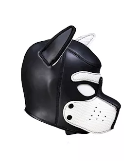 Mans Best Friend Puppy Hood
