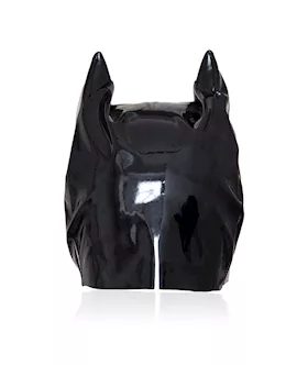 Pussy Cat Hood
