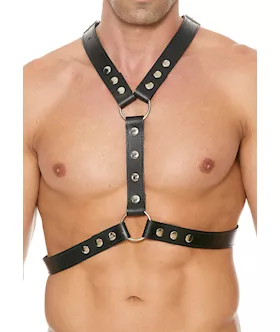 Leather Harness With Metal Snaps