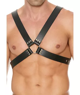 Men's 1.75 Inch Large Buckle Harness