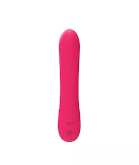 Amore Bullet Vibrator