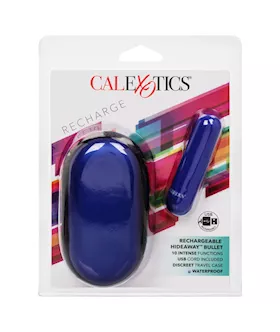 Rechargeable Hideaway Bullet 