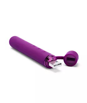 Le Wand Chrome Baton 