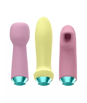 Satisfyer Fabulous Four - Interchangeable Head Vibrator