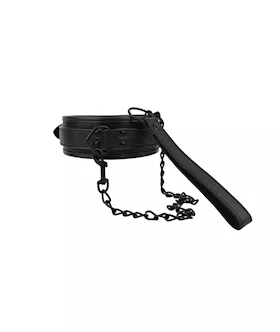 Deluxe Bondage Kit