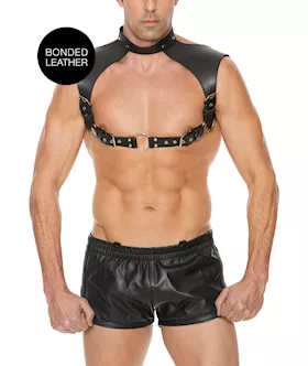 Mens Harness with Neck Collar