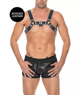 Chest Bulldog Harness