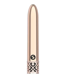 Shiny - Rechargeable Abs Bullet