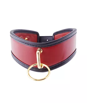 Premium Full Restraint Set
