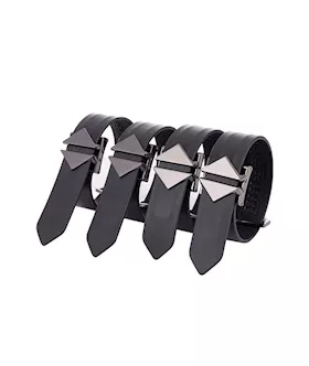 Lockink Hogtie Set