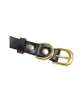 Sevanda Detachable Jk Bondage Handbag