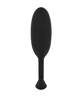 Easytoys Heavy Fulfiller Weighted Butt Plug