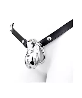 Containment Cell Stainless Steel Chastity Cage with Belt