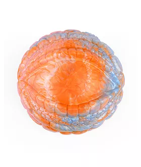 Wild Searching Eyeball Fantasy Grinder