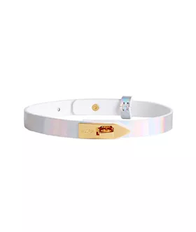 Elegant Collar With Leash