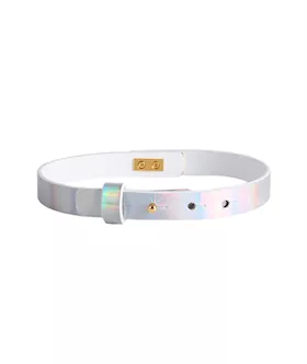 Elegant Collar With Leash