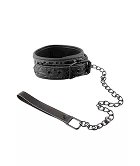 Owned Pyramid Pattern Collar and Leash