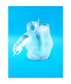 Huge Penis Ice Luge