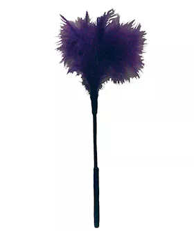 Sex amp Mischief Feather Tickler  Purple