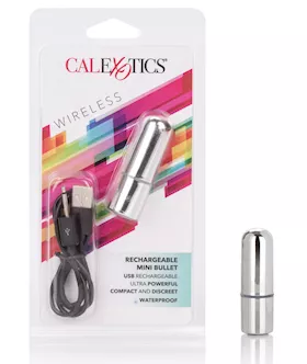 Rechargeable Mini Bullet  Silver