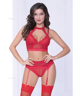 Lace amp Netting Long Line Bra Garter Belt amp Open Crotch Thong Red XL