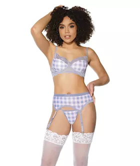 Crystal Pink Buffalo Check Print Bra Garter Belt amp String GreyPink MD