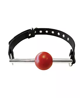 Rouge Leather Ball Gag with Stainless Steel Rod and Removable Ball  Black with Red