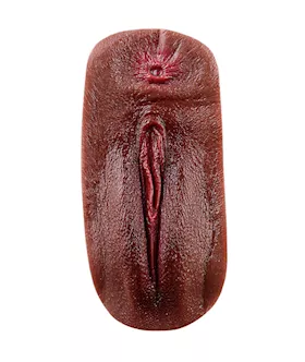 Vagina Panty Pad