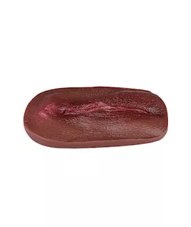 Vagina Panty Pad