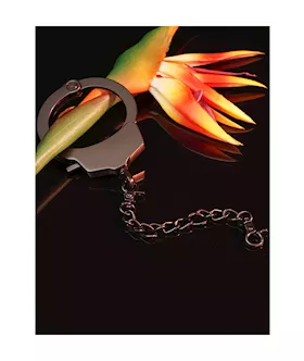 Single Handcuff With Chain