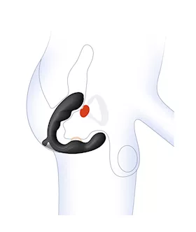 Oasis Anal & G Spot Vibrator