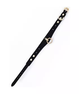Silicone Collar With Leash
