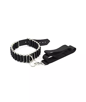 Lug Collar Restraint With Leash