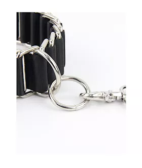 Lug Collar Restraint With Leash