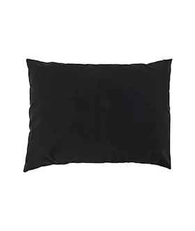 Pivot Pillow Protector