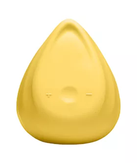 Evii Vibrator