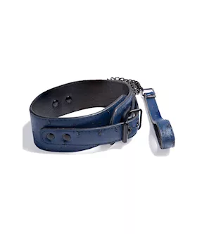 Bryn Bondage Kit