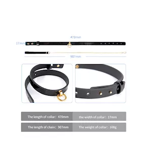 Lux Collar And Leash