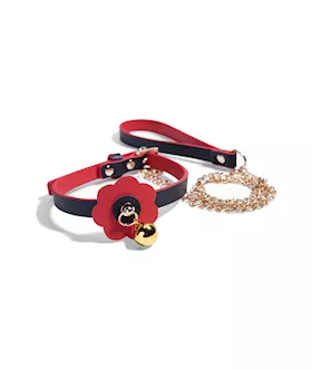 Frost Collar and Leash