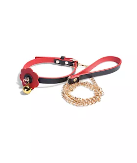Frost Collar And Leash