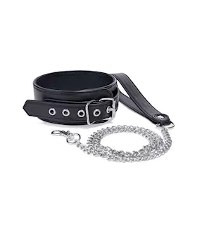 Delta Collar and Leash