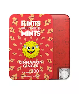 Flintts Mouth Watering Mints - Cinnamon Ginger