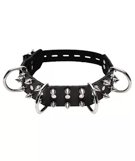 Strict Leather Spiked Dog Collar