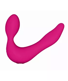 Swan The Eternal Swan