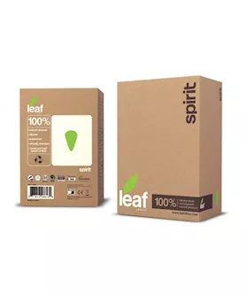 Spirit By Leaf