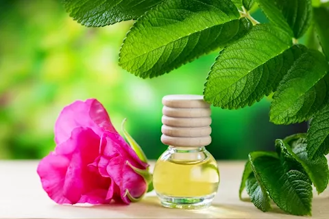 3 Reasons Why Women Should Use Organic Lubricant 