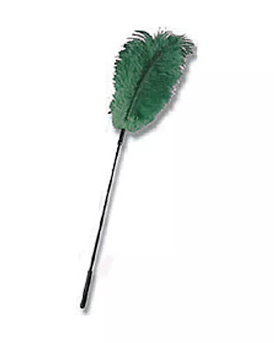 Ostrich Feather Stix